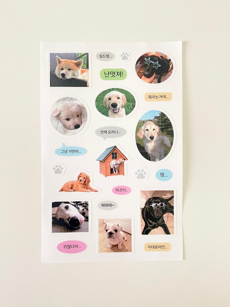 댕댕이 스티커 (2장)