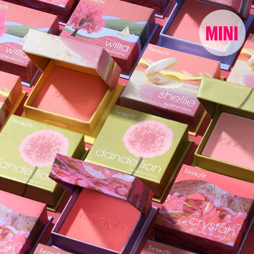 블러셔 미니 5종 택1