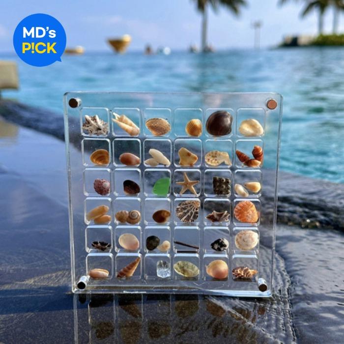 조개 미니 여행 추억 보관함