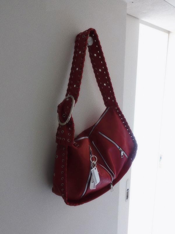 CHILI BUCKLE BAG