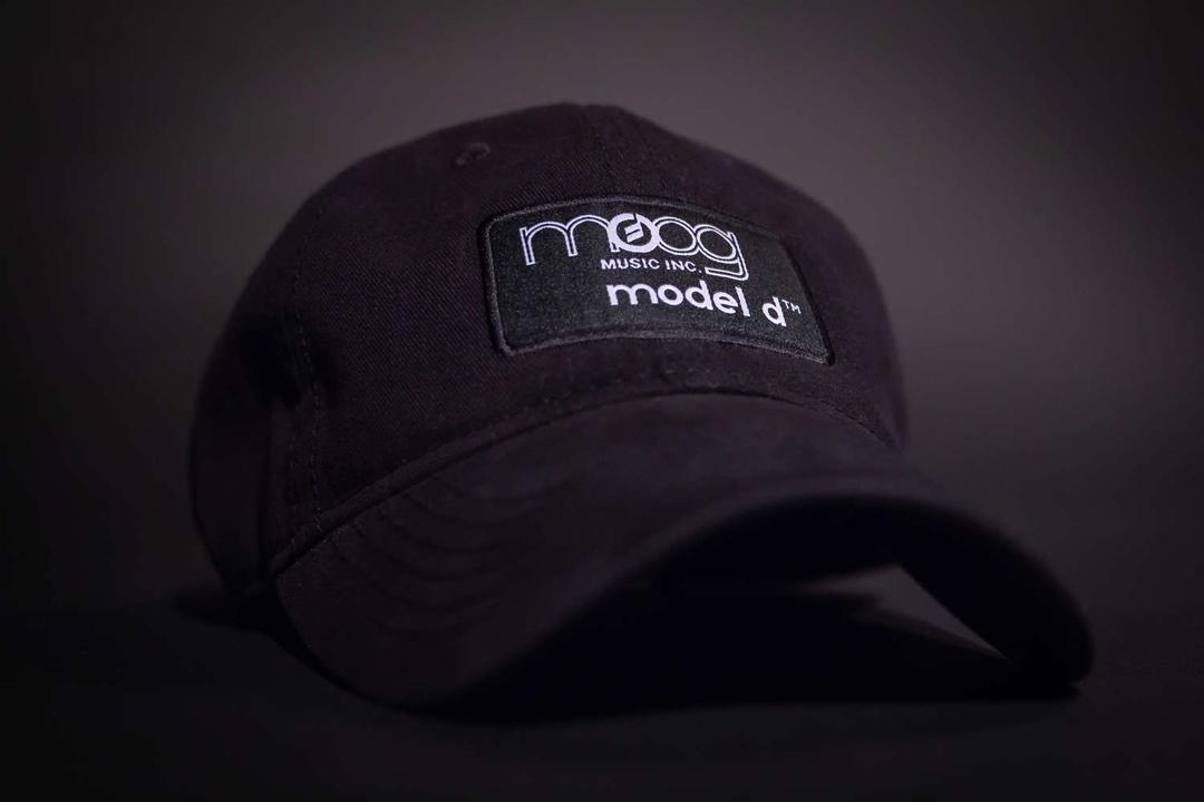Moog Model D Hat