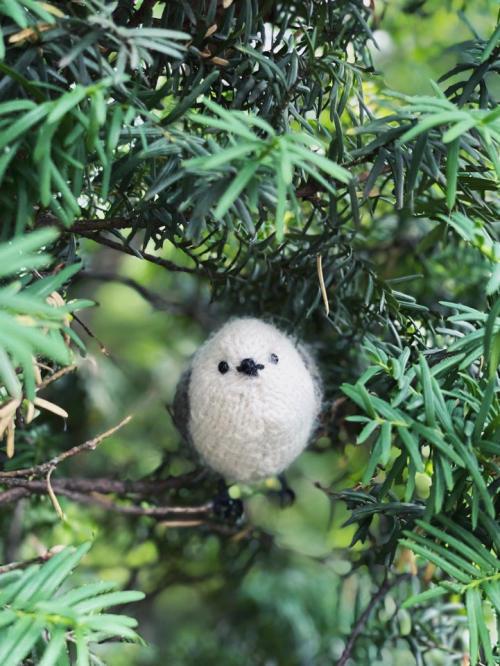 흰머리 오목눈이 인형