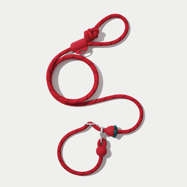 [사전 예약]🍓 커넥트 핸즈프리 로프 리드줄 (딸기)  *1월 12일 순차출고