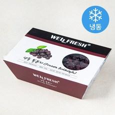 웰프레쉬 복분자 (냉동)