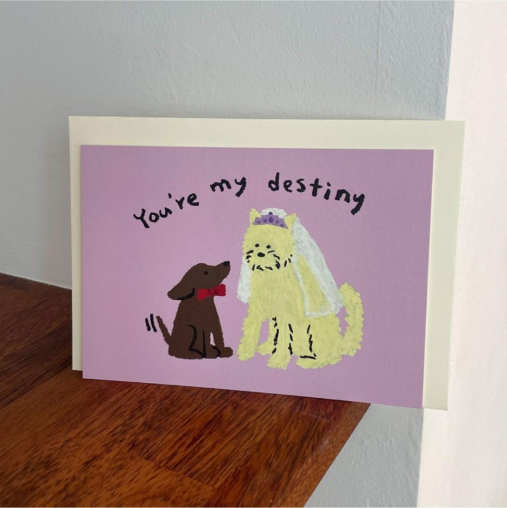 [발구락] You're my destiny (사랑해) 엽서 & 봉투 세트