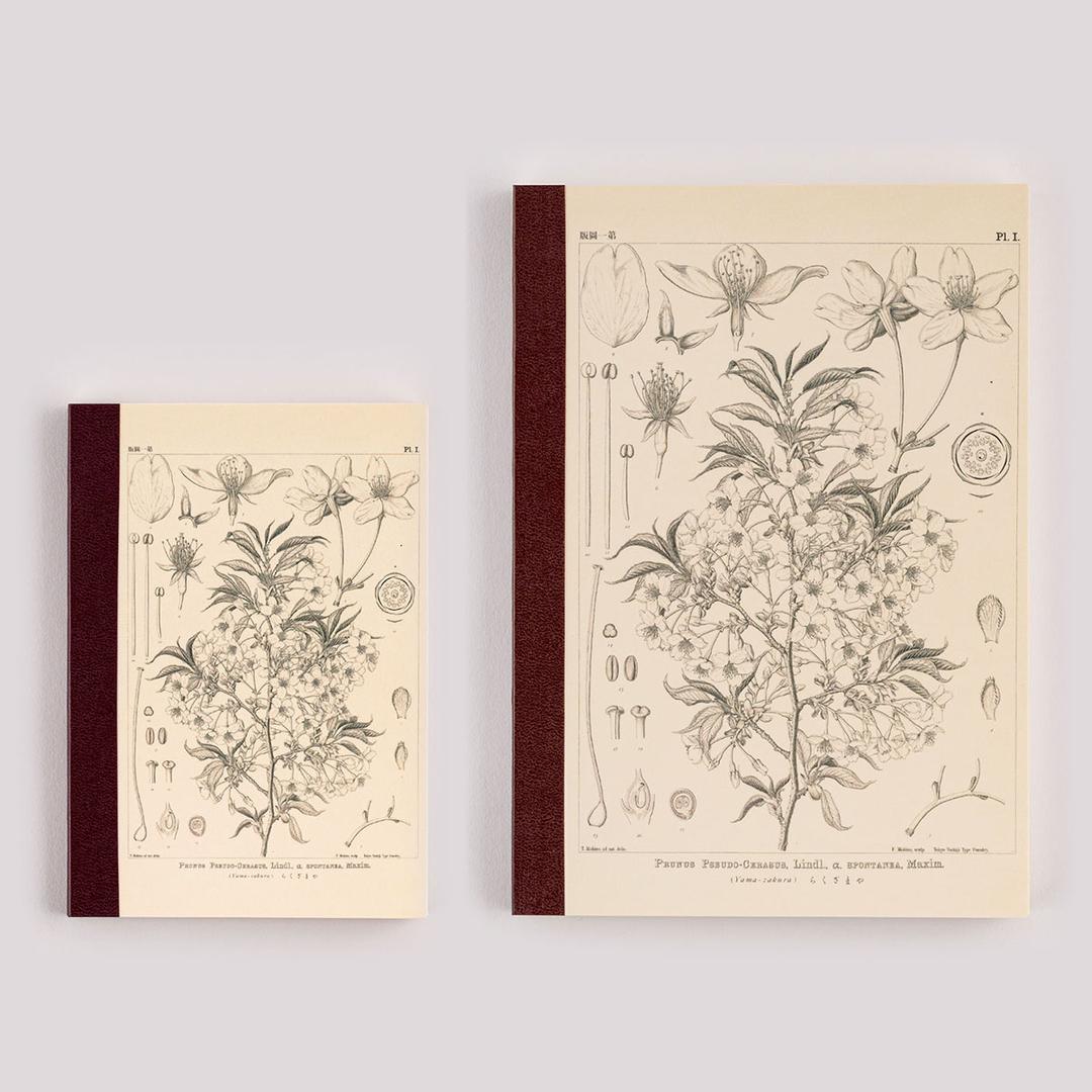Tomitaro Makino: Hobonichi Graph Notebook - Yamazakura A6 Size / A5 Size - Stationery Lineup - Stationery - Hobonichi Techo 2026