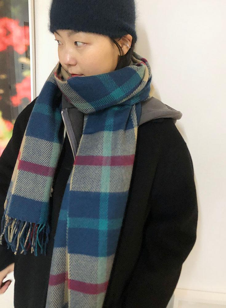 Blueberry muffler