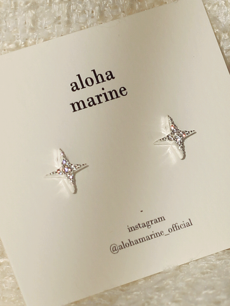 925 silver twinkle earring (m size)