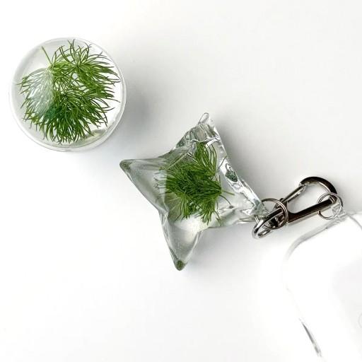 🍀finetree keyring&tok☘️