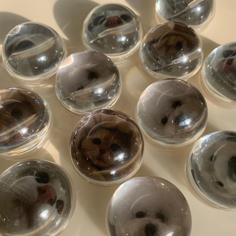 우지개 유기견 유기묘 유기동물 후원 강아지&고양이 그립톡