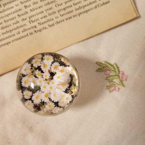 [봄밤달] 데이지 꽃밭톡