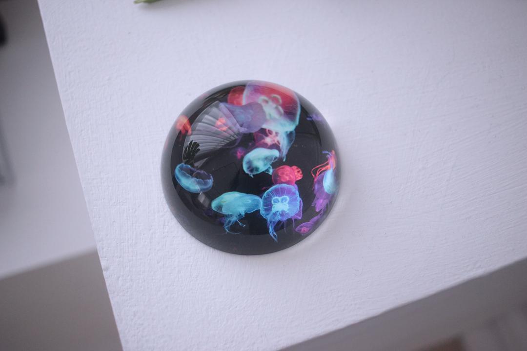 네온 해파리 유리 문진