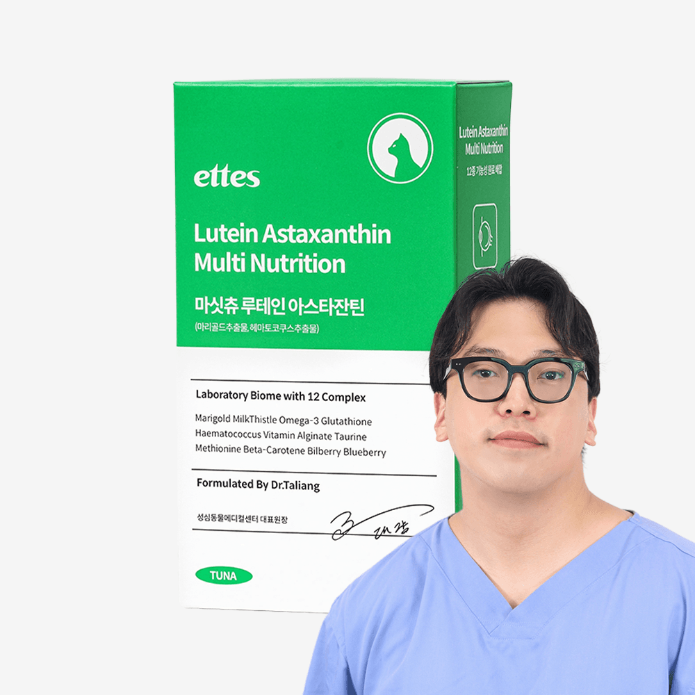 마싯츄 고양이 눈 간