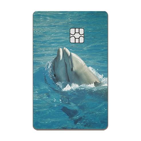 아르토르 Dolphin kiss 디자인 카드 스킨 리무버블 스티커 - 스티커 | 쿠팡