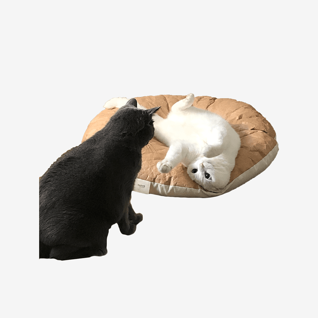 고양이 타이벡 애착방석 빵방석 - 라운드