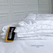 3m Thinsulate Duvet summer (SS,Q,K) 3M 신슐레이트 여름이불솜