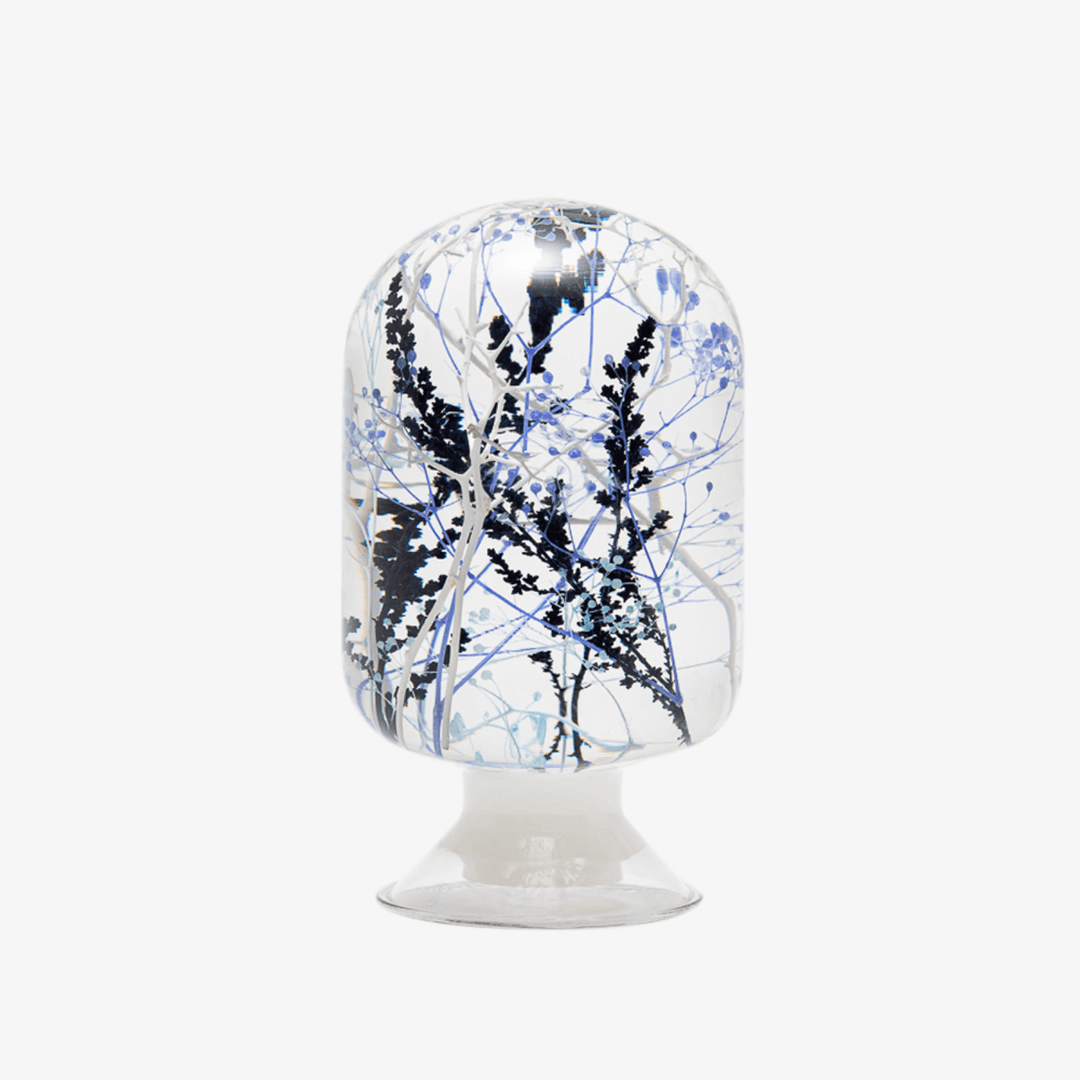 [New Year Fortune, 15%] 하바리움 - 코랄 가든