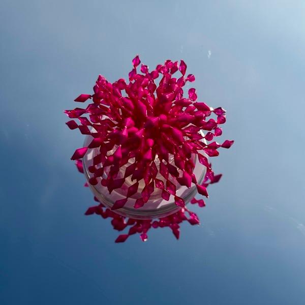 [스마트톡] Sparkle Tok