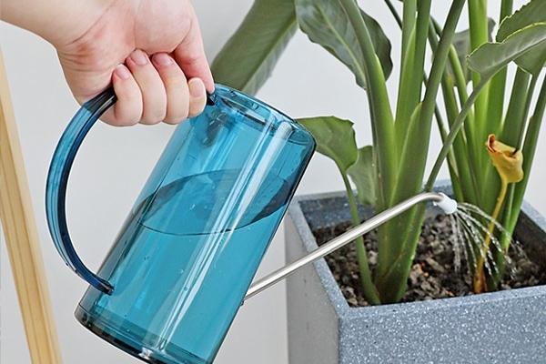 홈가드닝 정원 원예용 스포이드포함 엔틱 물뿌리개 1L