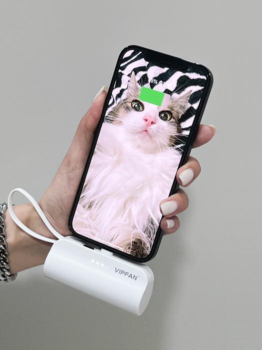 [1+1] VIPFAN 도킹 2in1 일체형 보조배터리 (VIPFAN Docking 2in1 Power Bank)