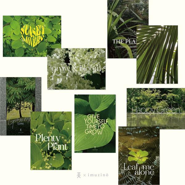 폿 X 이뮤지노 엽서set