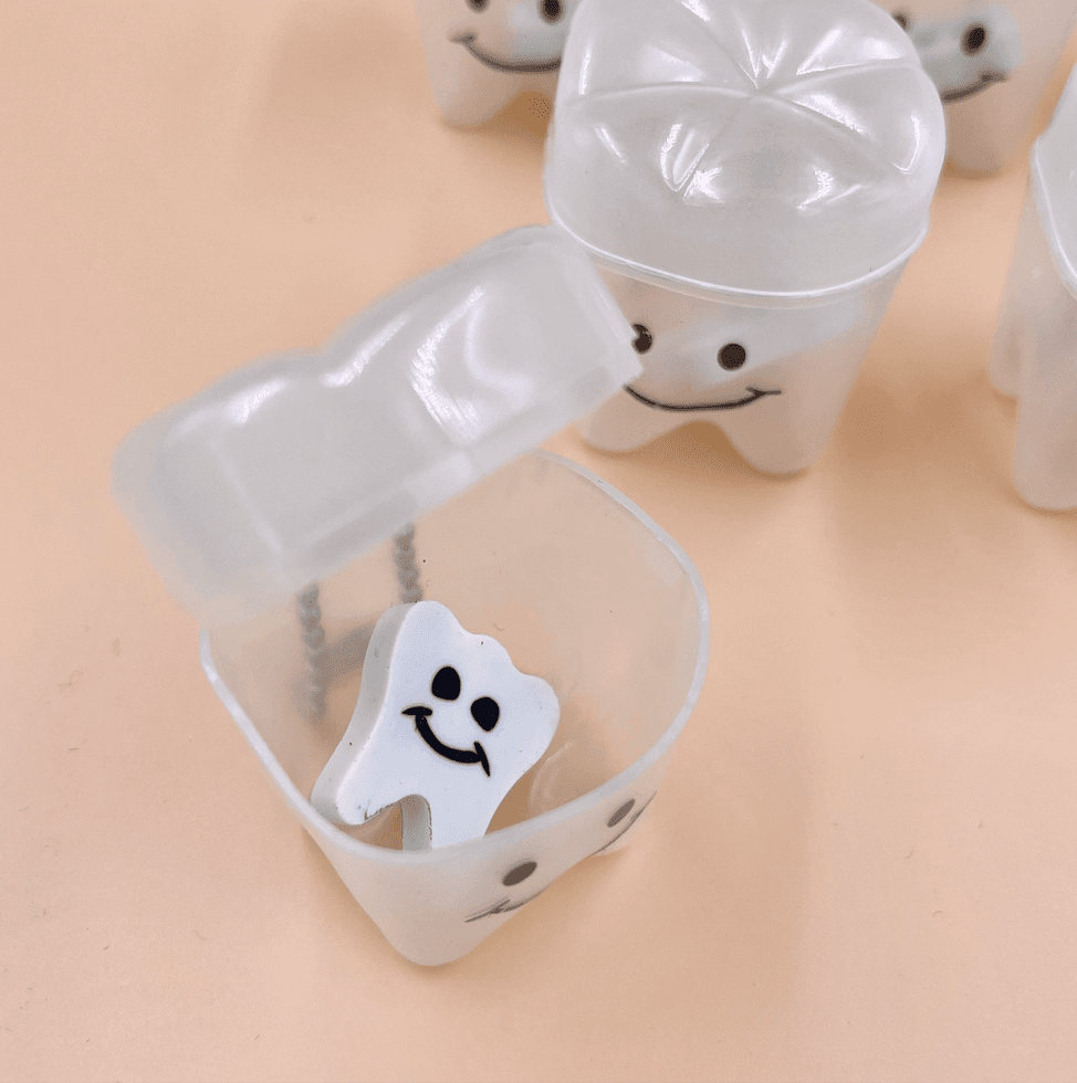 Tooth Case Key Chain