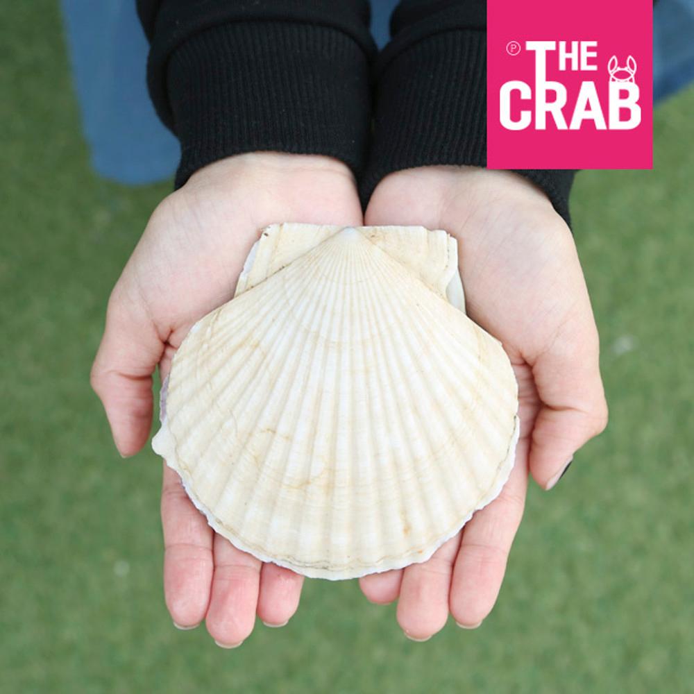 대왕 참가리비 1kg 제철 왕 큰 가리비 캠핑조개구이