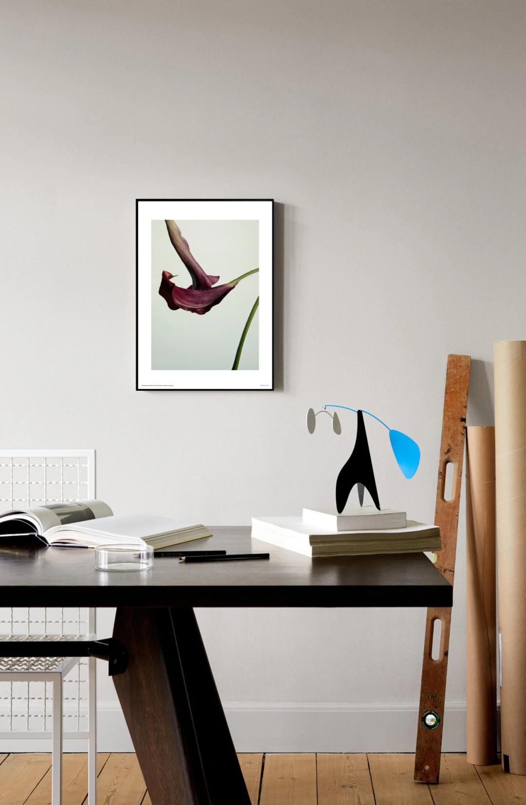 인테리어 포스터 - Calla Lily