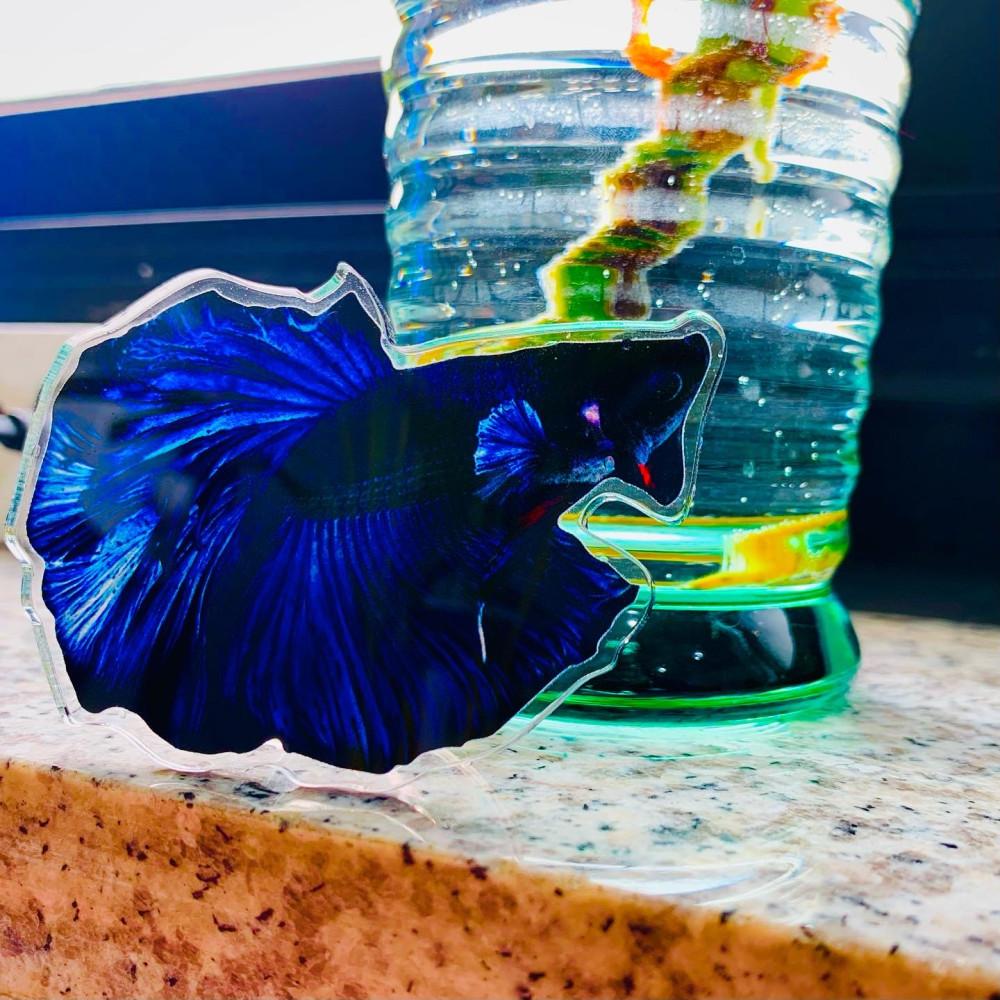 [씨스루랩] 블루 베타 스마트톡