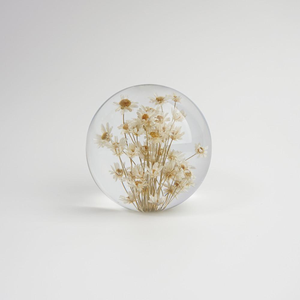 데이지문진 7cm 국화 오브제 플라워 문진 민들레 생화 페이퍼웨이트 촬영소품 집들이선물