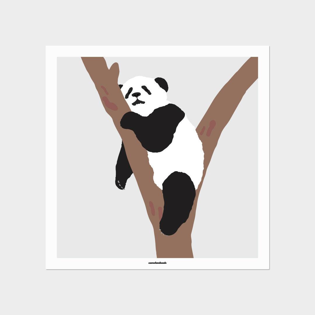 Siesta 판다 곰 낮잠 포스터