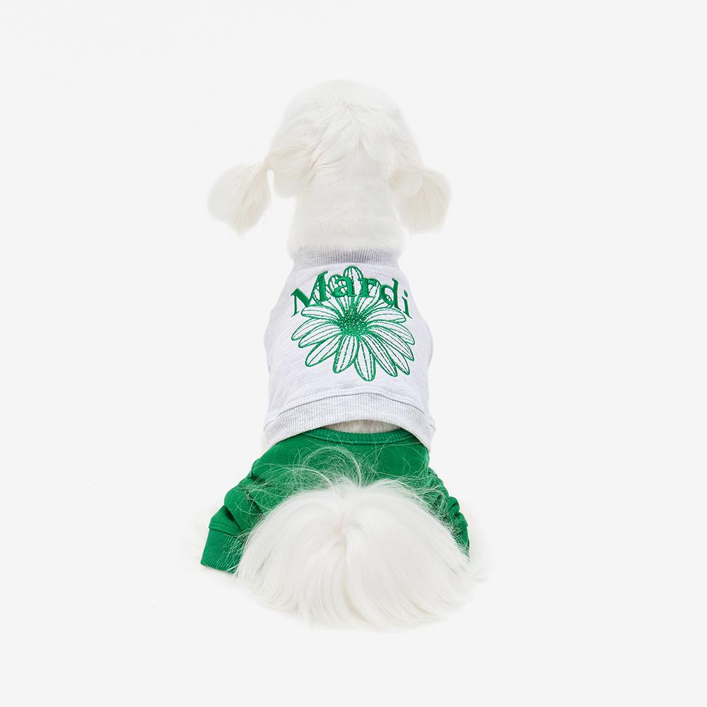 컴포터블 올인원 (그린)