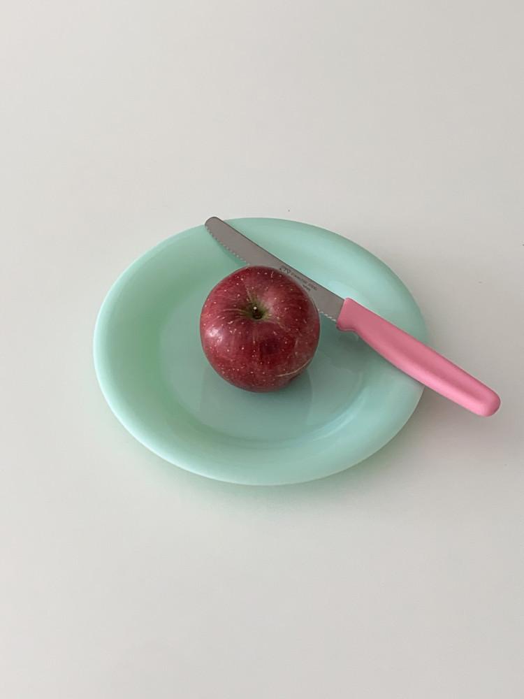 [사물아카이브] 멜라민 파스텔 원형 플레이트(접시 홈 카페 파티 브런치 그릇 밀크글라스)