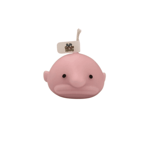 심해 얼짱 (Blobfish candle)
