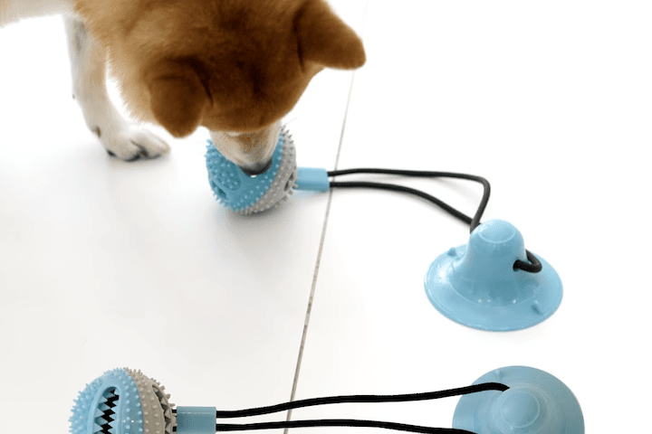 강아지 애견 장난감 터그놀이 볼토이