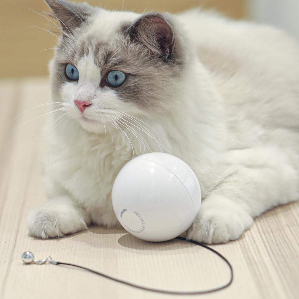 펫케어 스마트캣볼 움직이는 고양이 자동 공 장난감 건전지 포함
