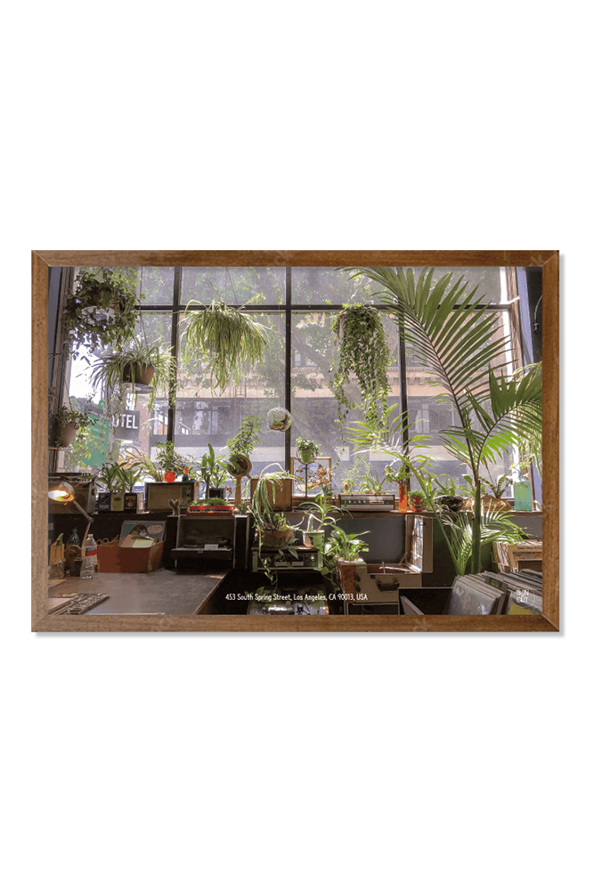 [SUNGLIT 선글릿] Film Poster - Greenhouse (A4)