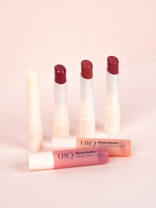 바이옴 베리어 멜팅 모이스처 립밤 4종 택1
