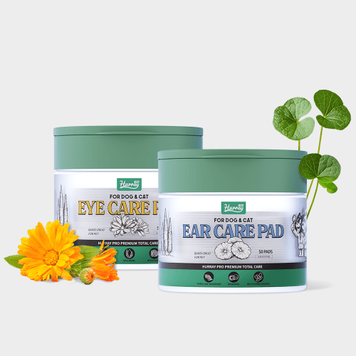 허레이 프로 아이 케어 패드+이어 케어 패드 SET