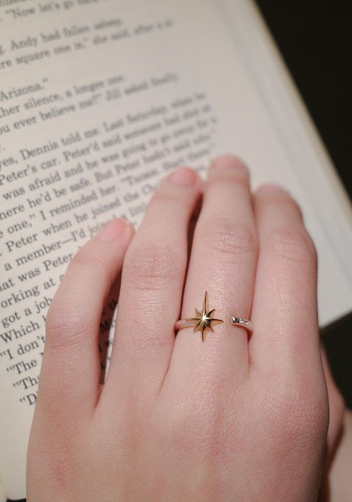 [엔믹스 지우님 착용] Polaris Ring - Combi