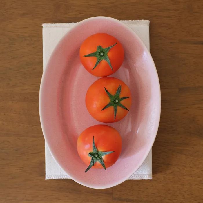 포엠 오벌 플레이트 플랫피치 24cm