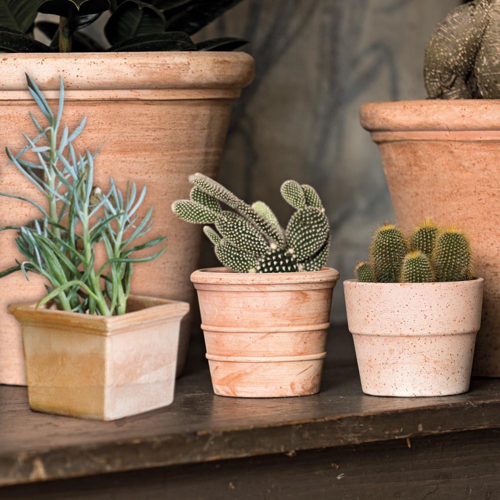 데로마 테라코타 이태리토분 인테리어화분 미니 시에나 시리즈