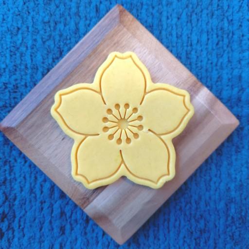 [봄맞이] 벚꽃 쿠키틀 / 벚꽃 / 홈베이킹