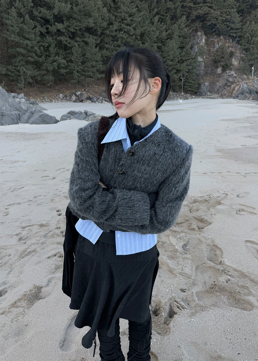 BRUSH WOOL JK