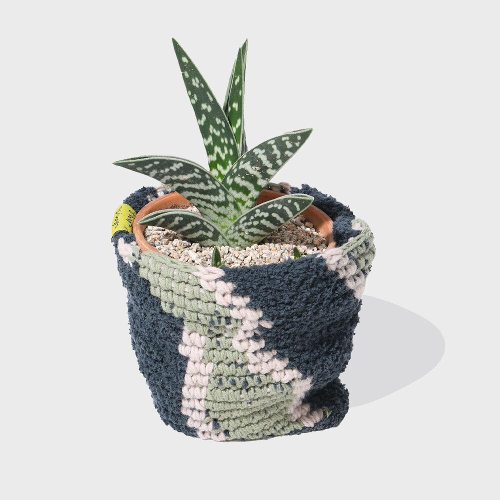 PHYPS® X MINGYES PLANT POT CLOTH GREEN