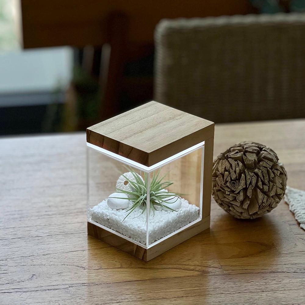 원목 큐브 무드등 터치 LED등 식물 조명 집들이선물
