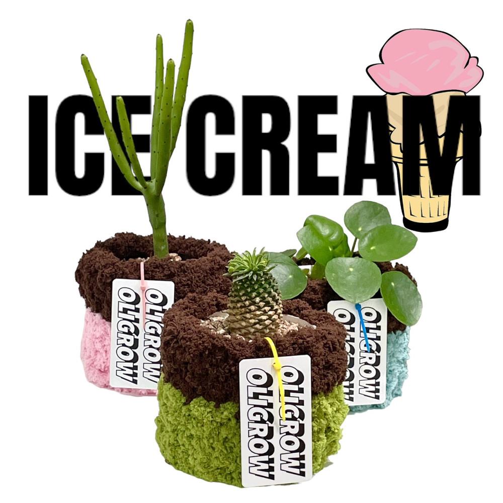 (Handmade 제작)  PPPOT6 퍼피팟6 ICE CREAM POT 아이스크림팟 니팅화분 식물식재 가능