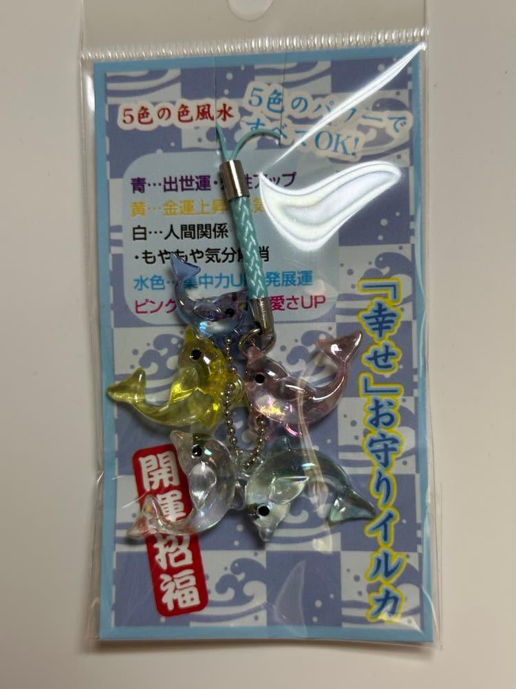 행운의 5색 돌고래 키링