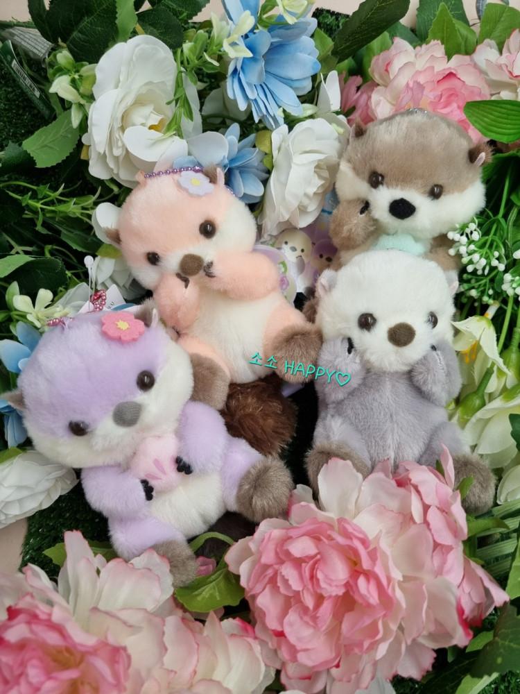 [소소HAPPY] 어뮤즈 해달 키링 인형 시즌 4 라이 수달 바다 동물 가방 키링 선물 AMUSE