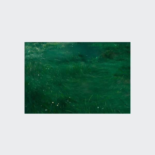 [작은 역동성] Deep forest shadow green 엽서